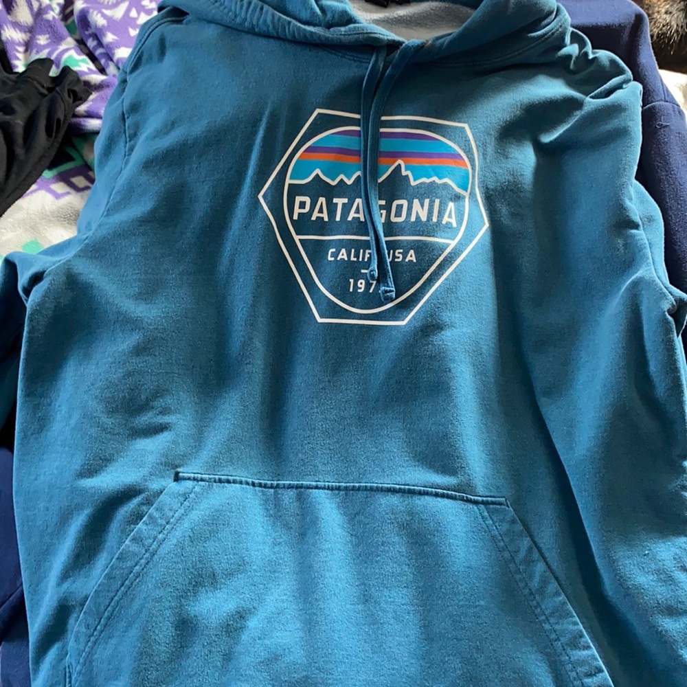 Patagonia Hoodie